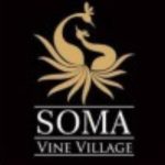 Untitled design (24)